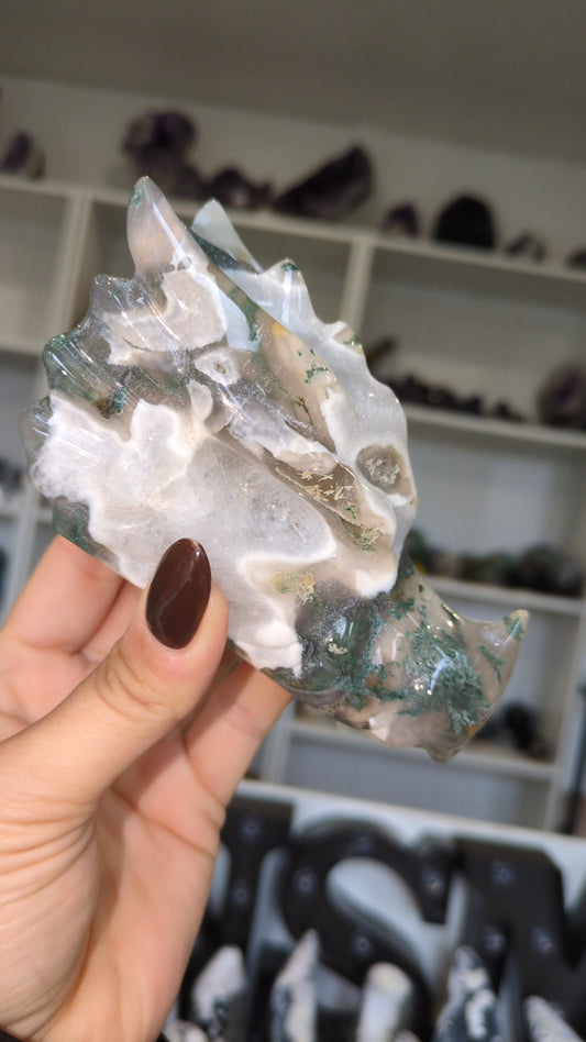 Moss dragon head A ✨