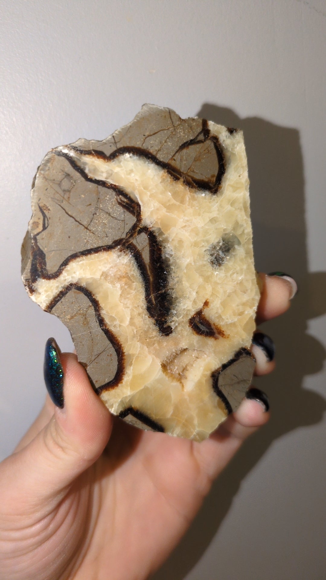 Septarian slab ✨ B
