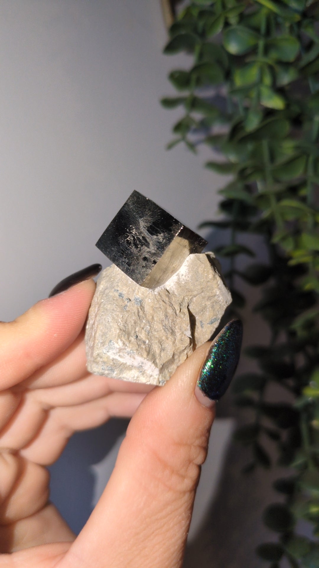Pyrite cube on matrix