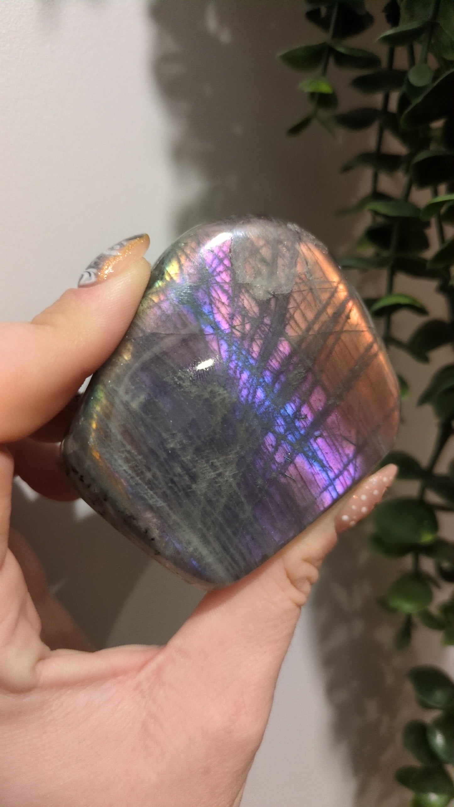 Rainbow lab freeform ✨