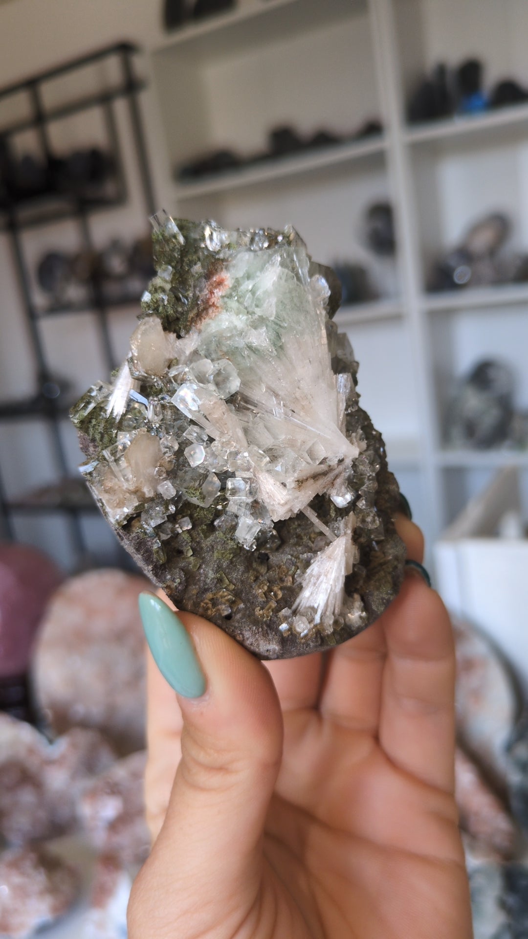 Forest Apophyllite ✨M