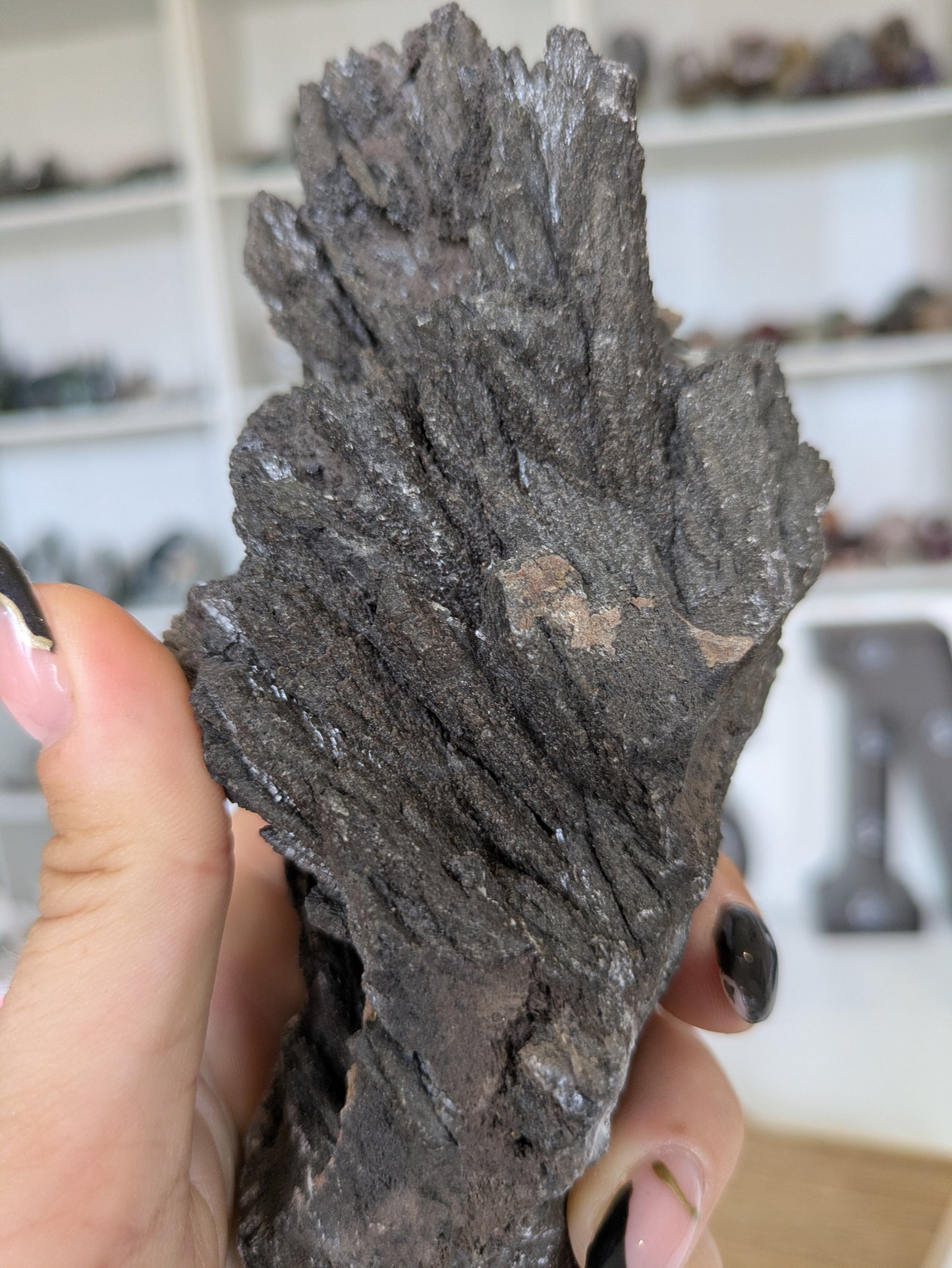 Black calcite ✨