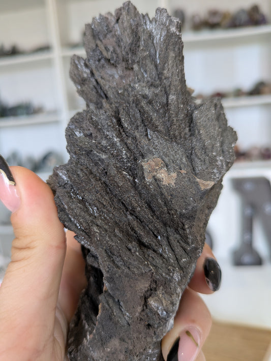 Black calcite ✨