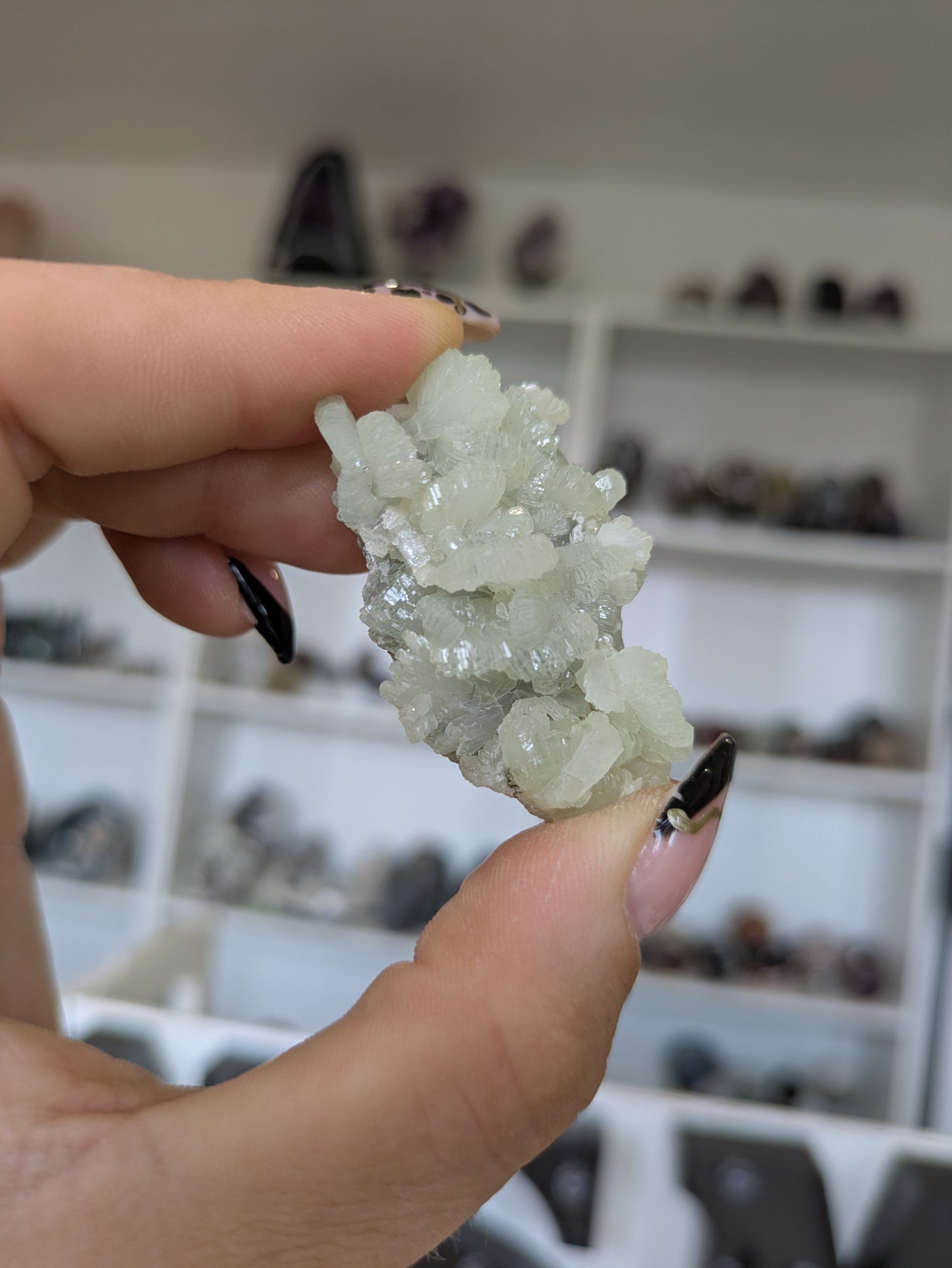 Prehnite ✨ Y
