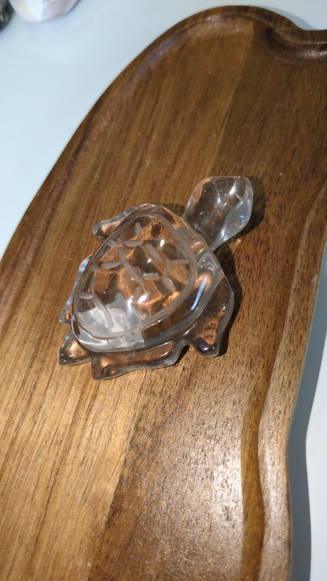 Smokey quartz turtle ✨