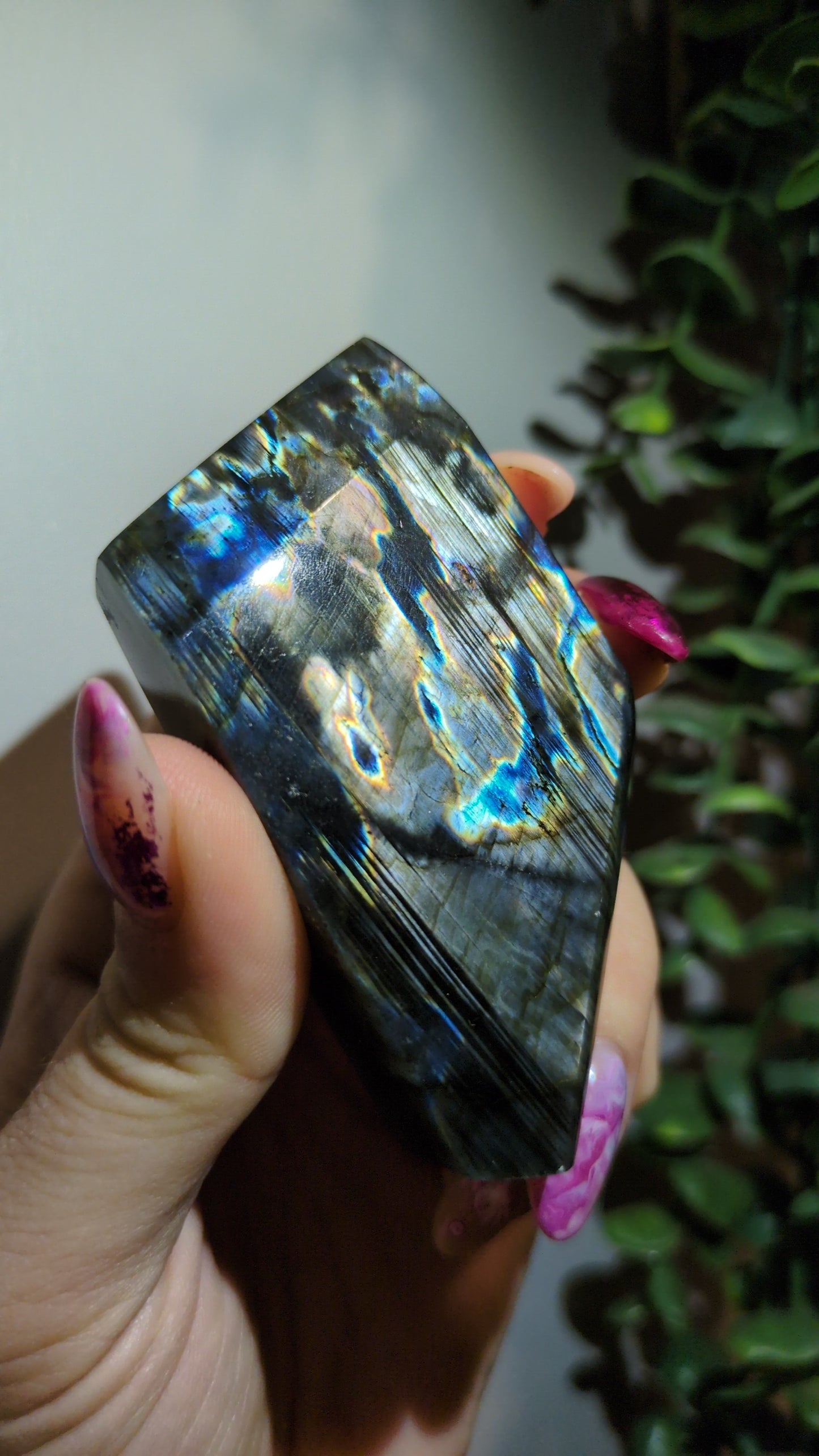 Spectrolite (20) ✨