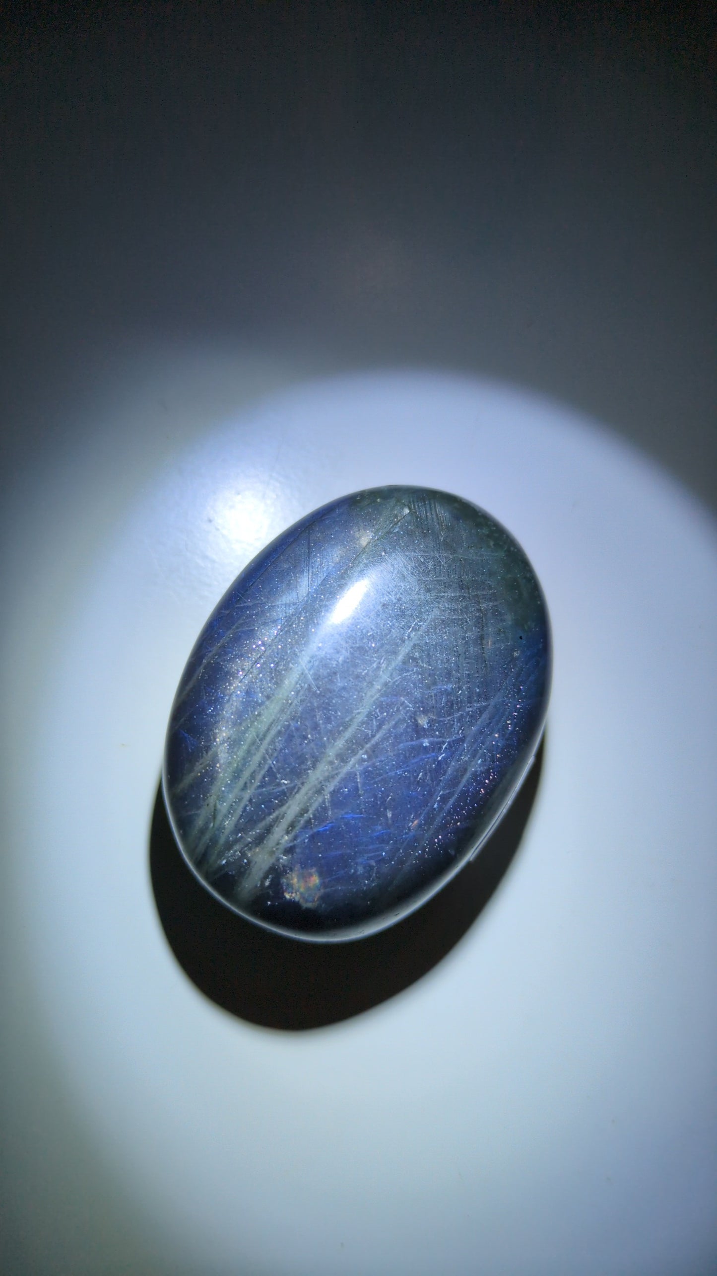 Dark blue lab palm ✨