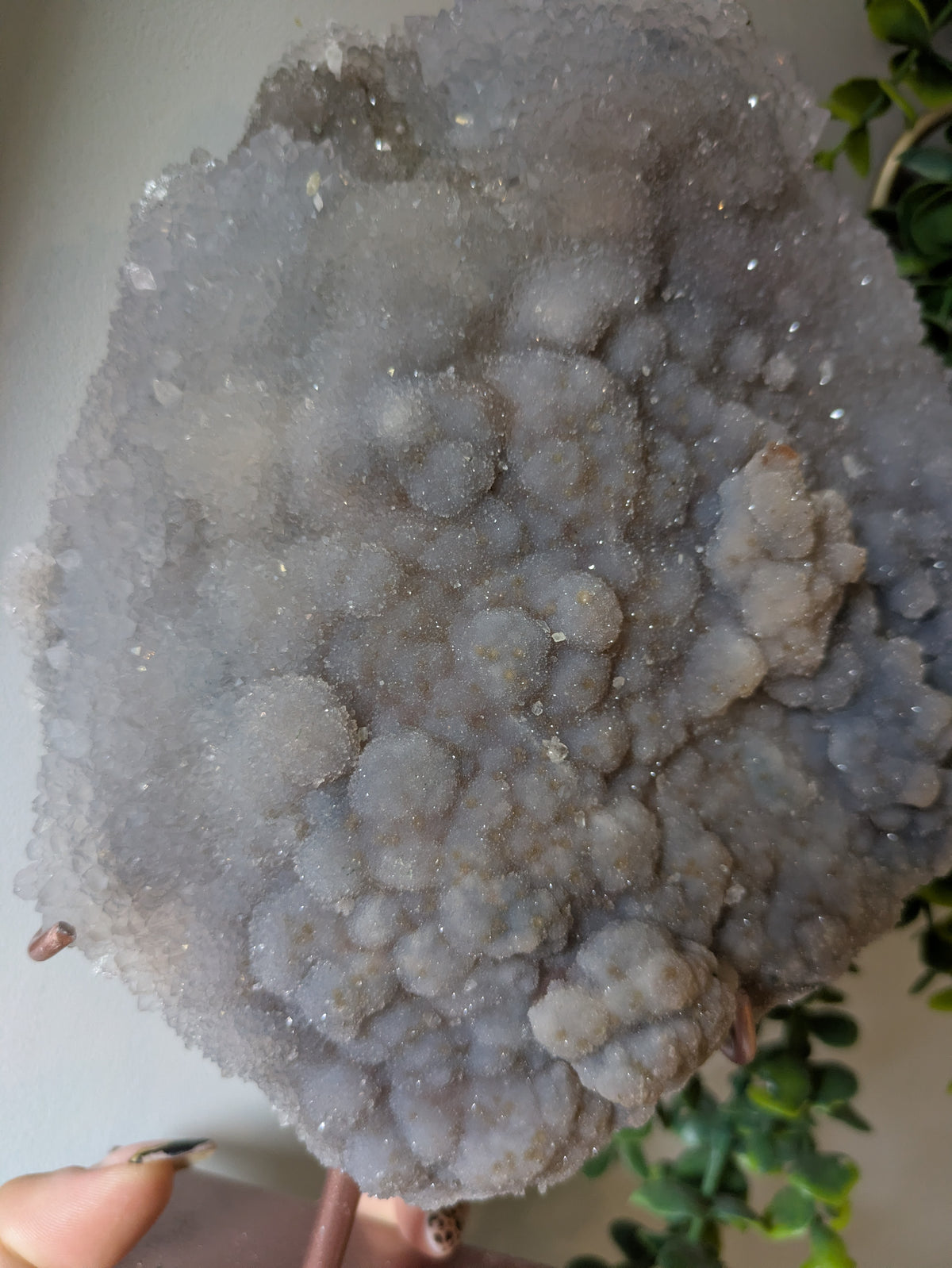 XL zeolite on stand ✨ D