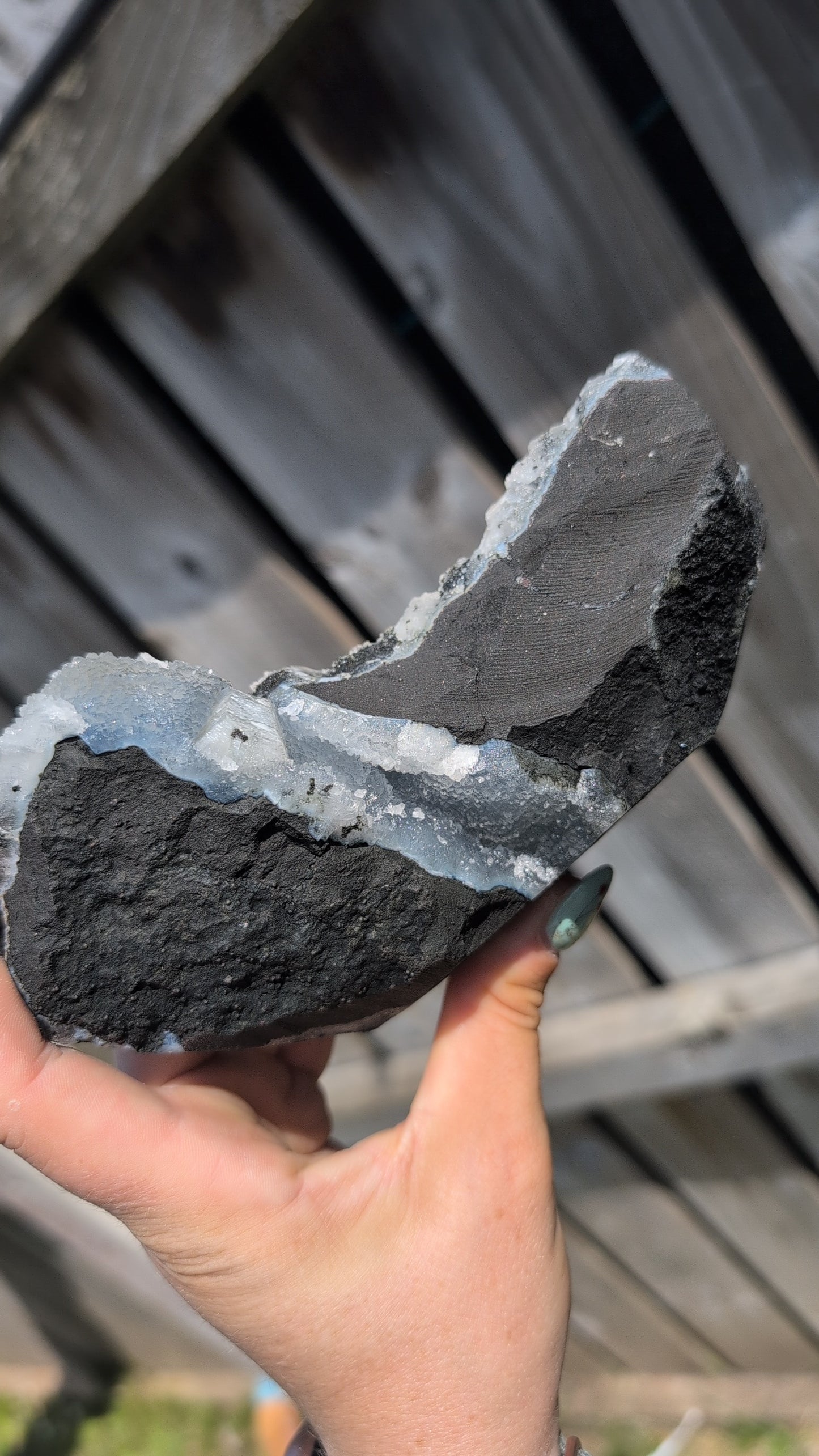 Black forest Apophyllite ✨ P