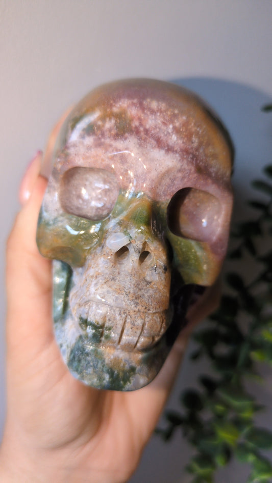 Ocean jasper Skull 💀