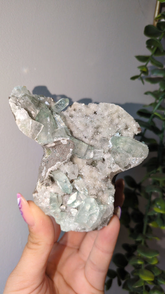 Icy Mint Apophyllite ✨ S