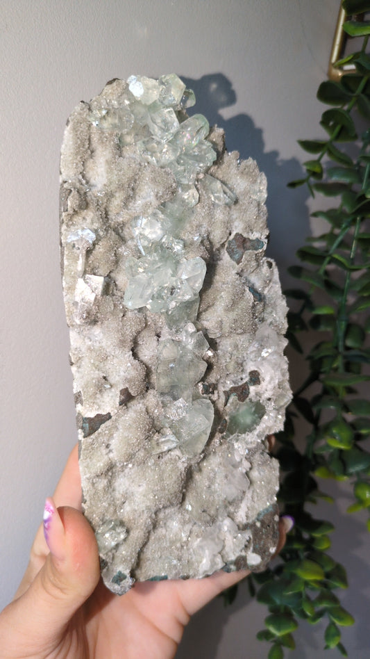 Icy Mint Apophyllite ✨ F