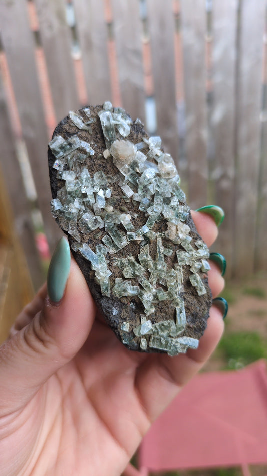 Forest Apophyllite ✨ X