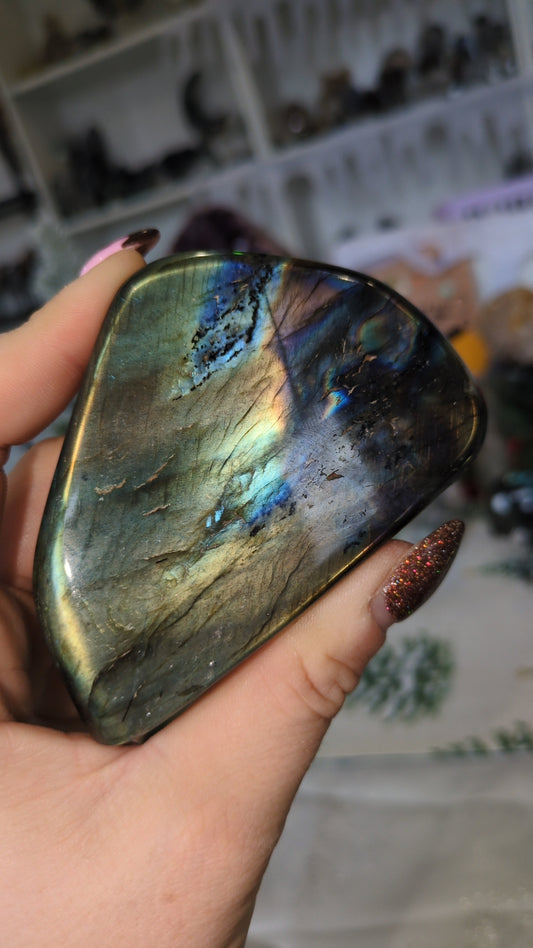 Labradorite ✨ B26