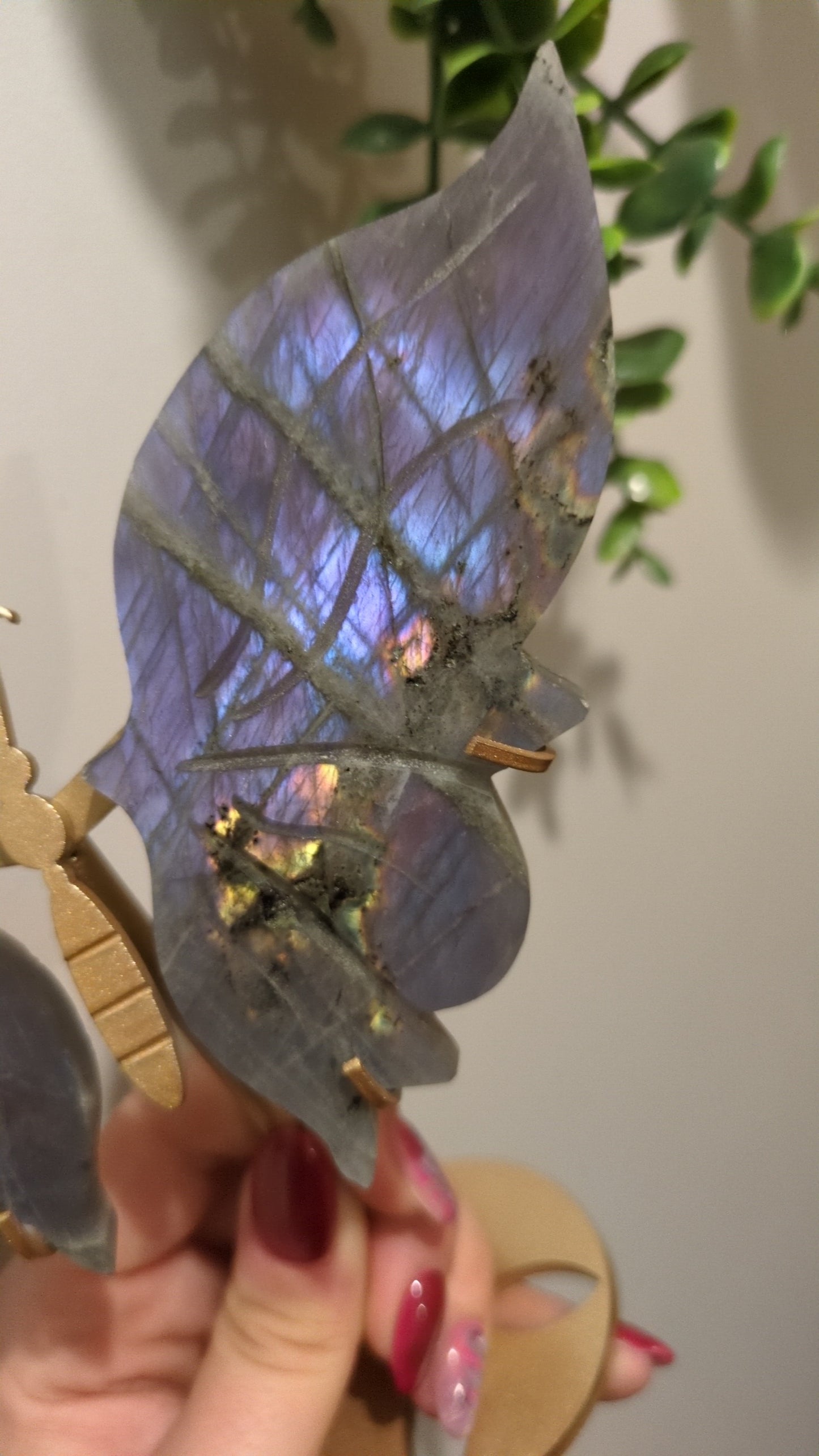 Blue& purple labradorite wings ✨