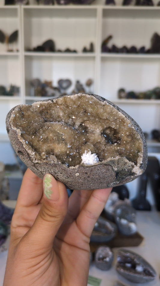 Okenite From India (B). ✨