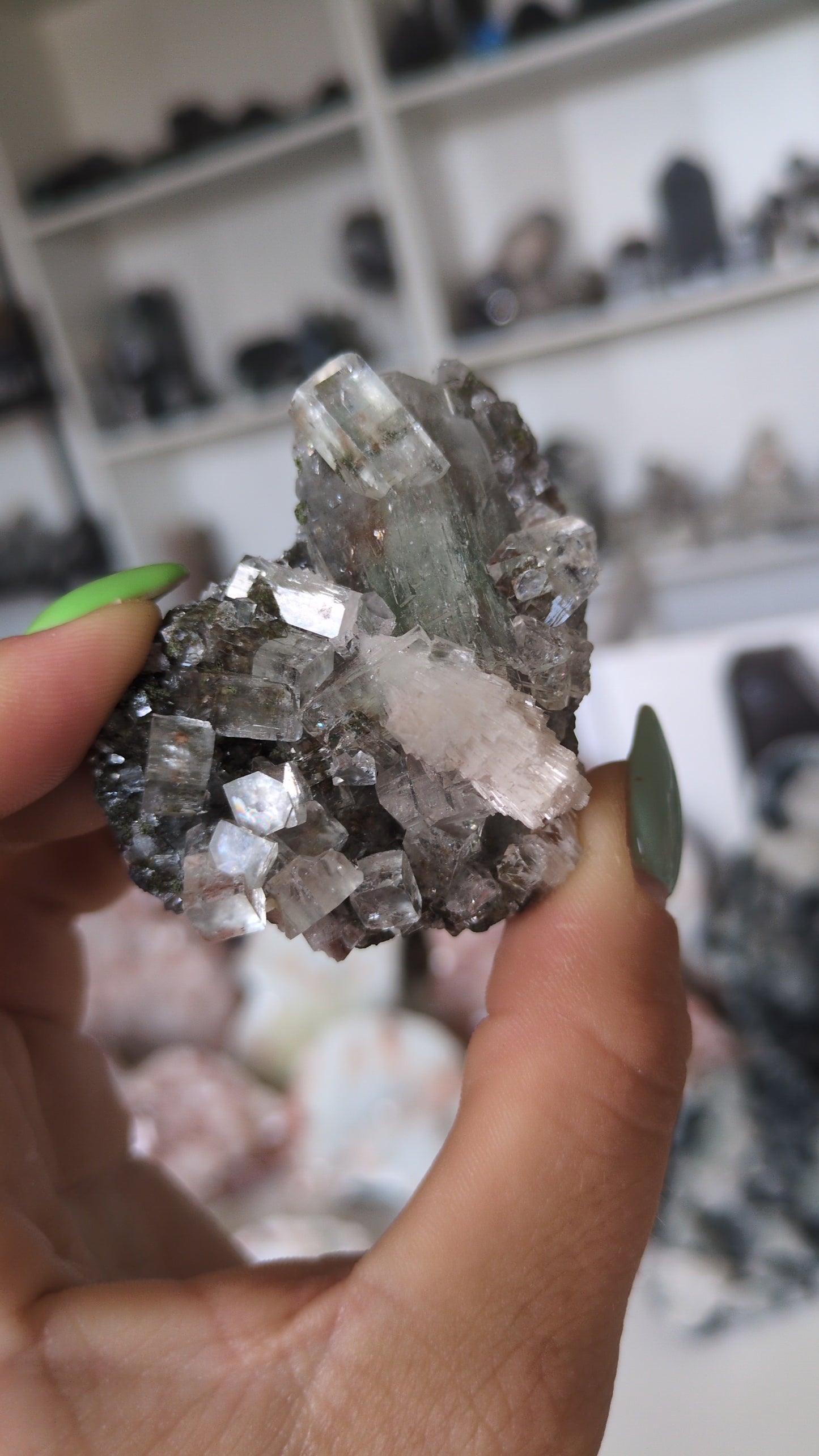 Forest Apophyllite ✨
