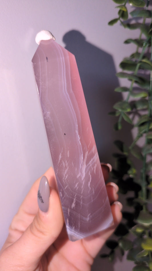 Jellyagate tower A ✨