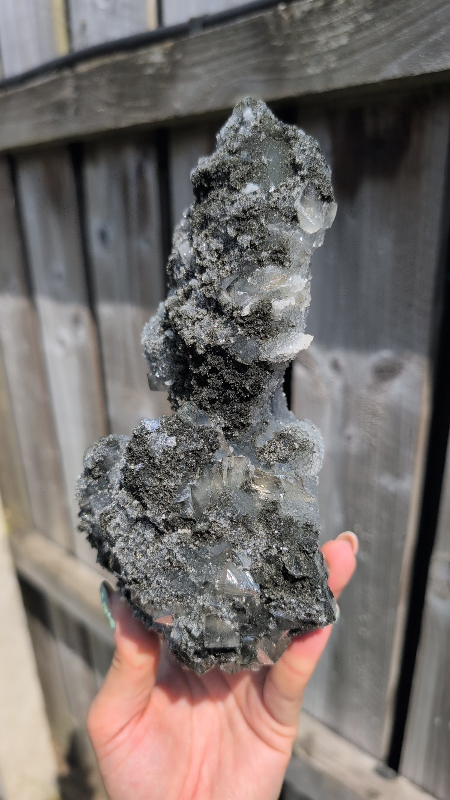 Black forest Apophyllite ✨ T