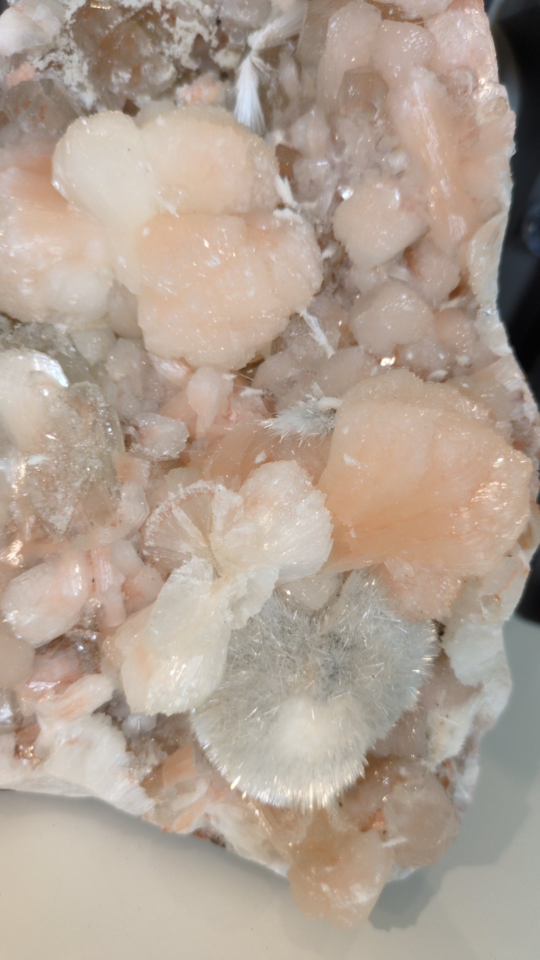 XL 'Strawberry Milkshake' Apophyllite ✨ A