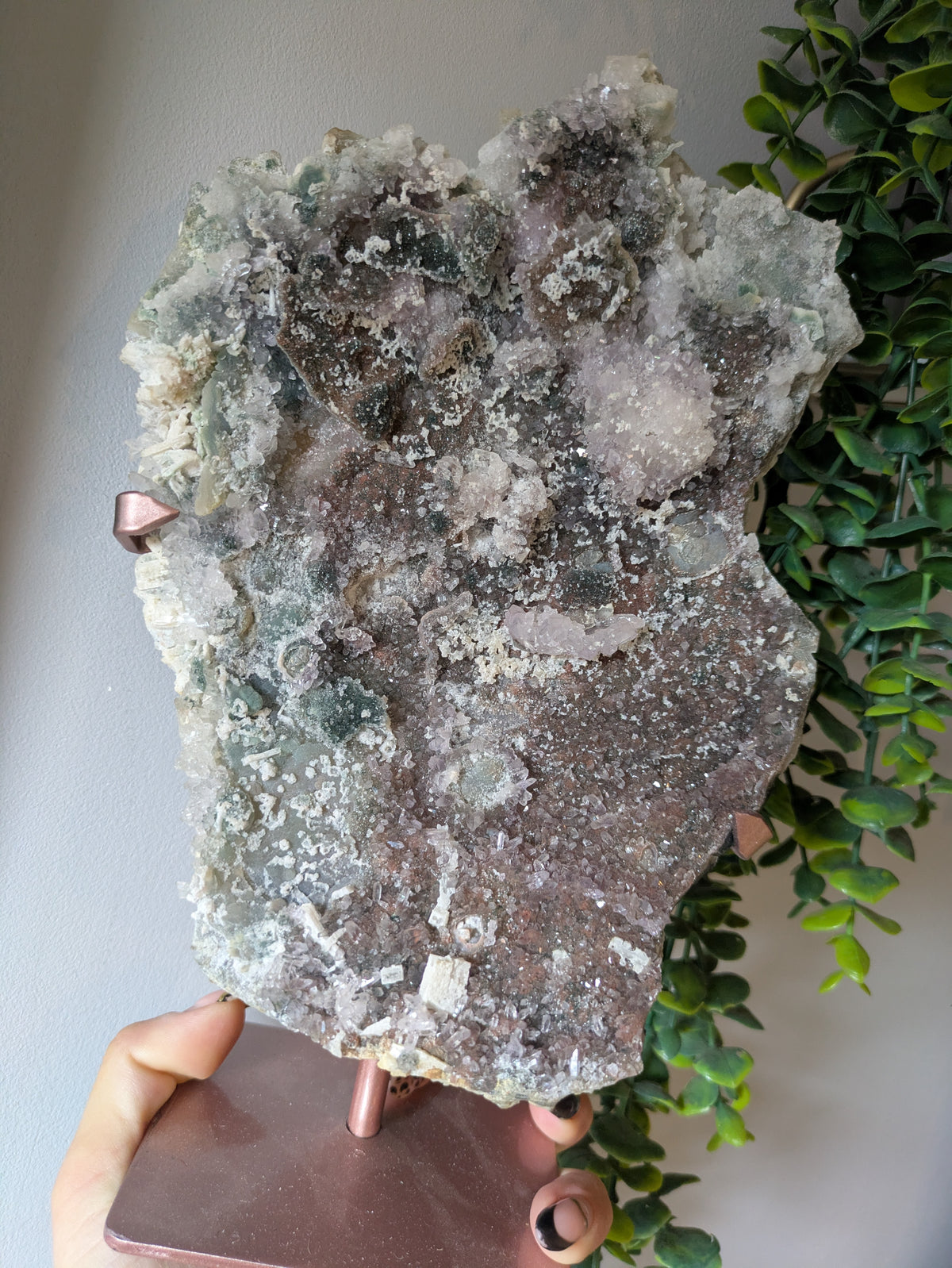 XL zeolite on stand ✨ C