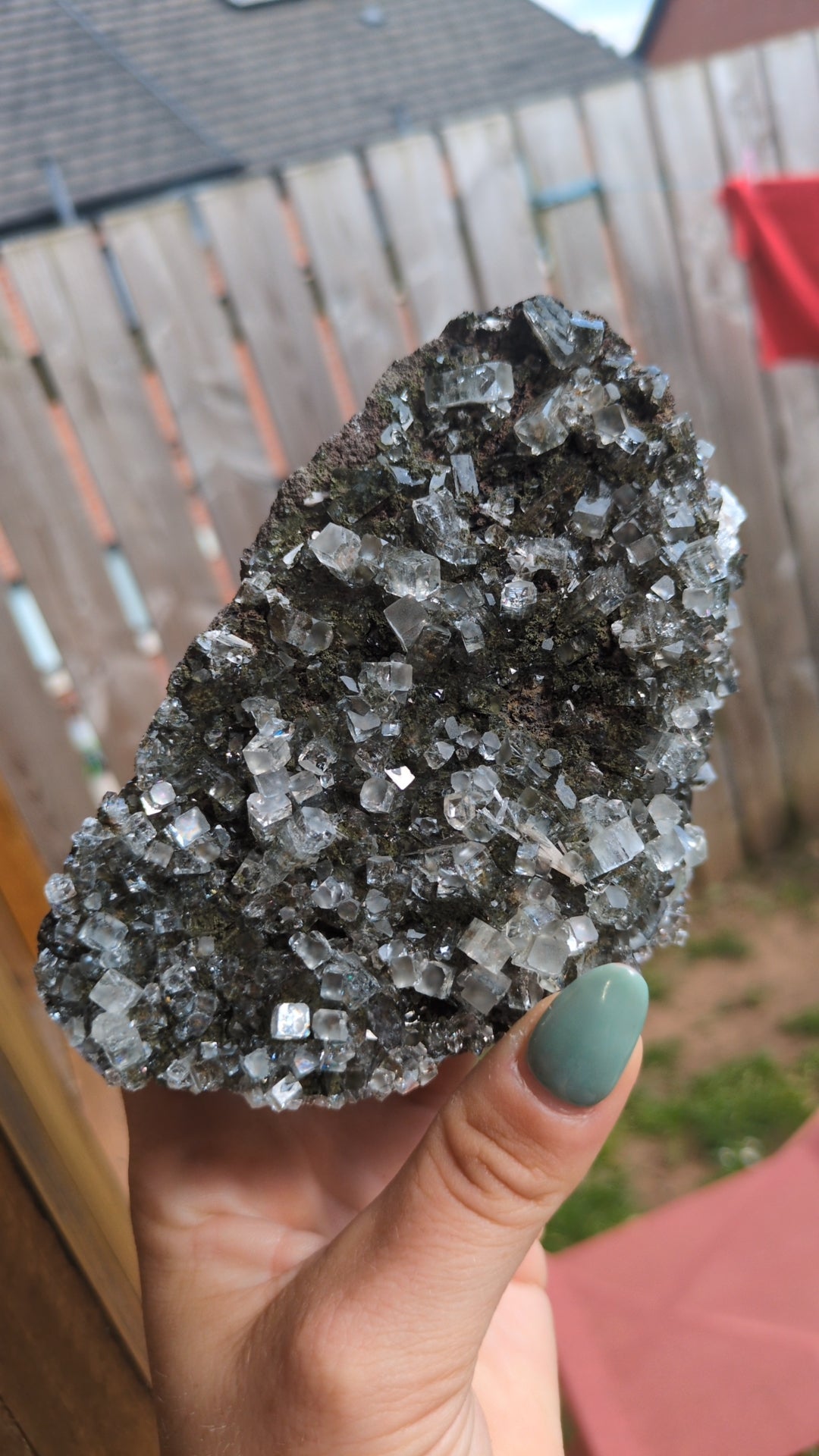 Forest Apophyllite ✨ B