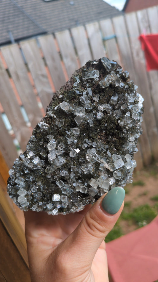 Forest Apophyllite ✨ B