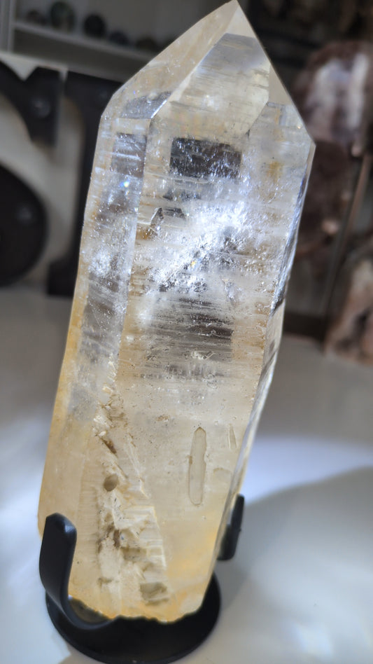 Large Lemurian on stand ✨