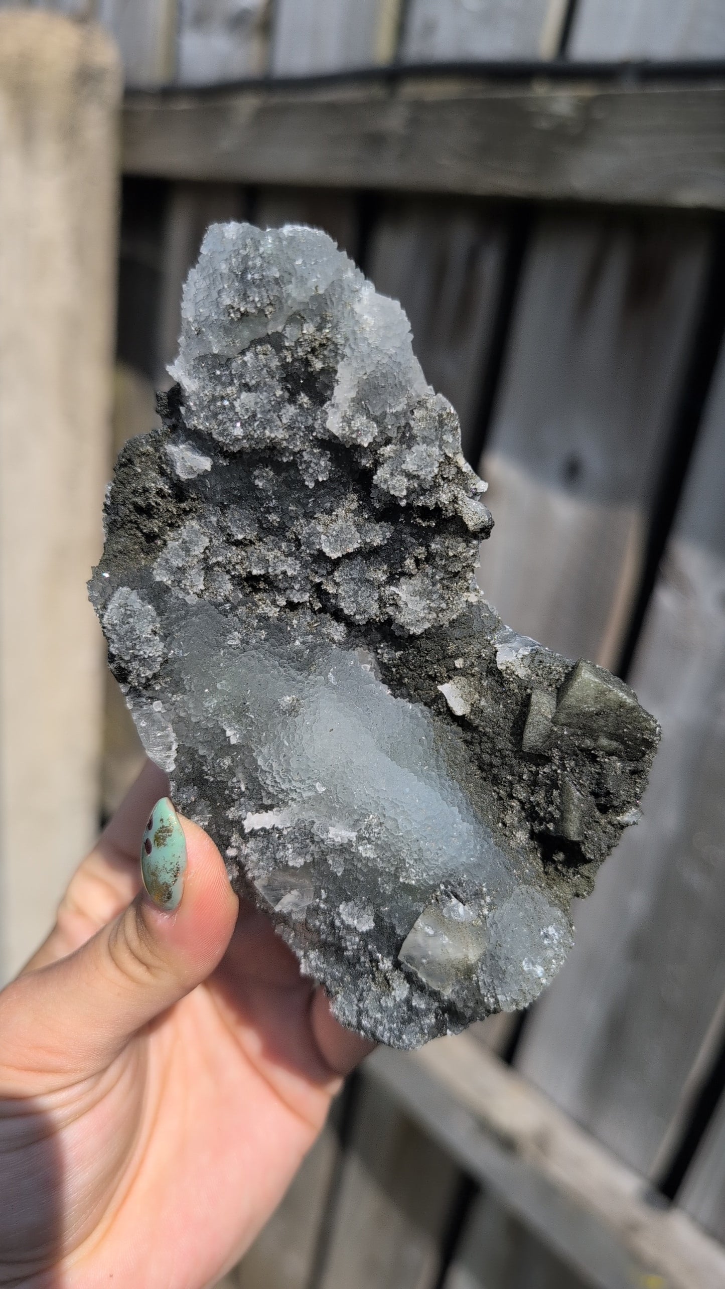 Black forest Apophyllite ✨ J