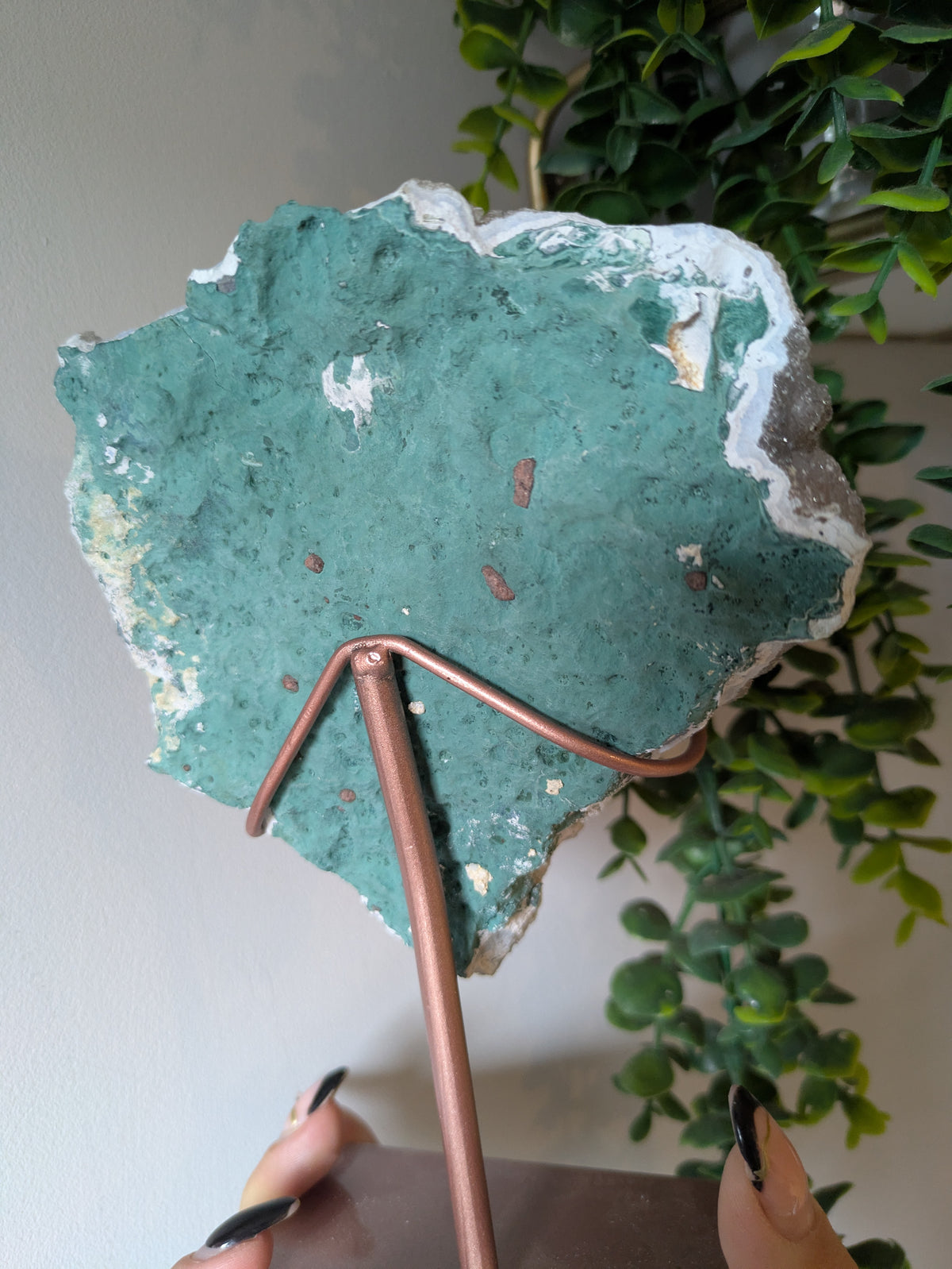 Zeolite on stand ✨ B