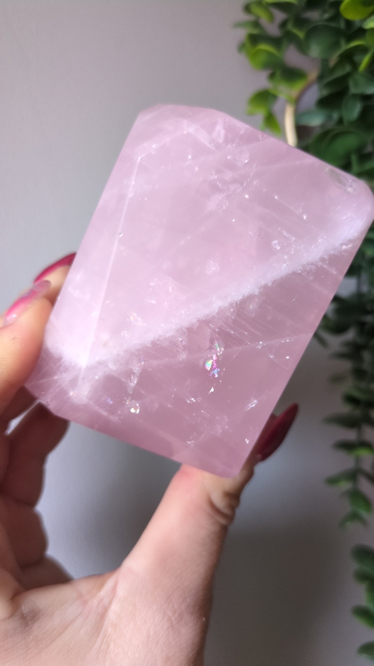 Rose quartz freeform ✨ B