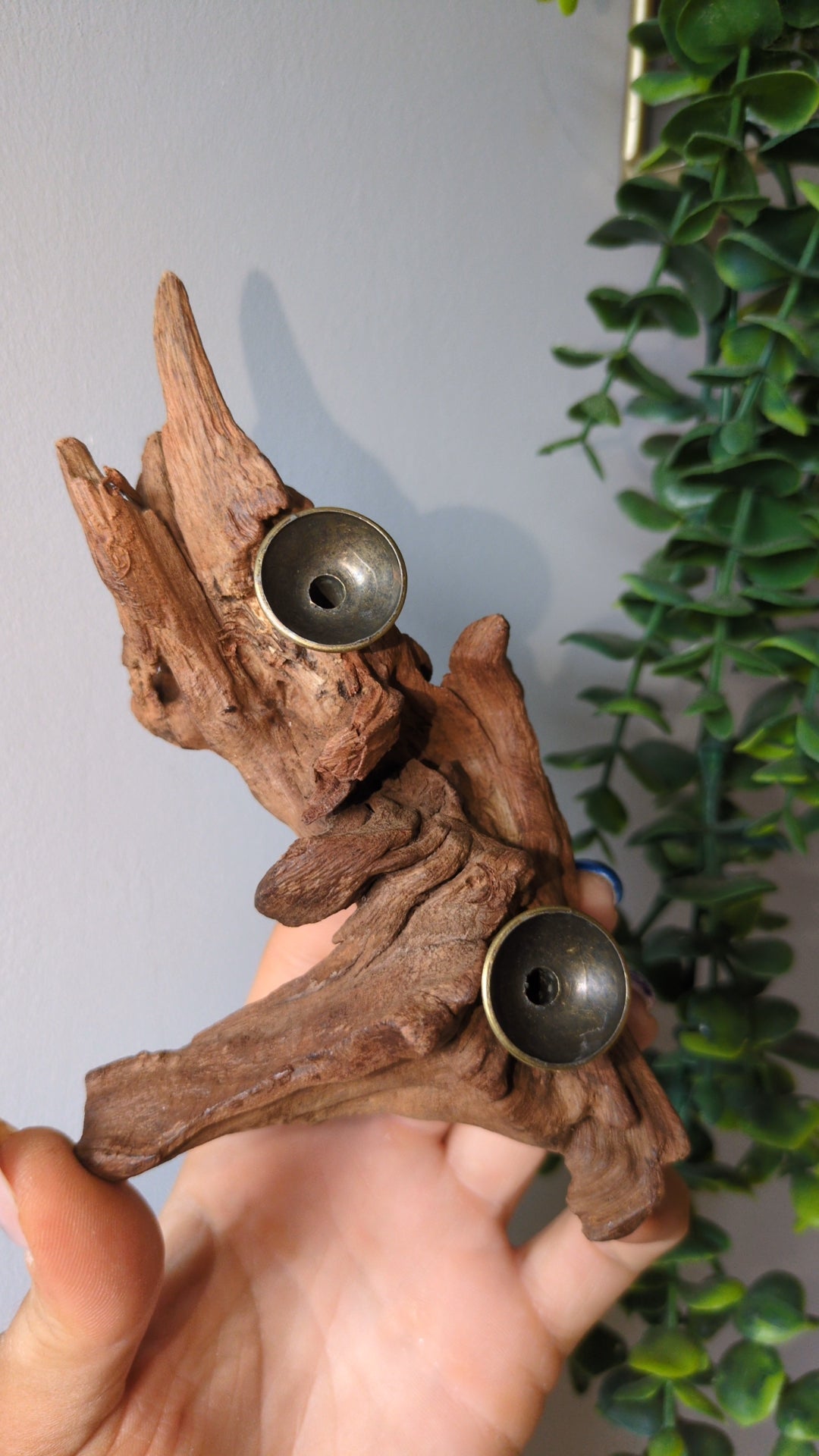 Two sphere holder on driftwood ✨