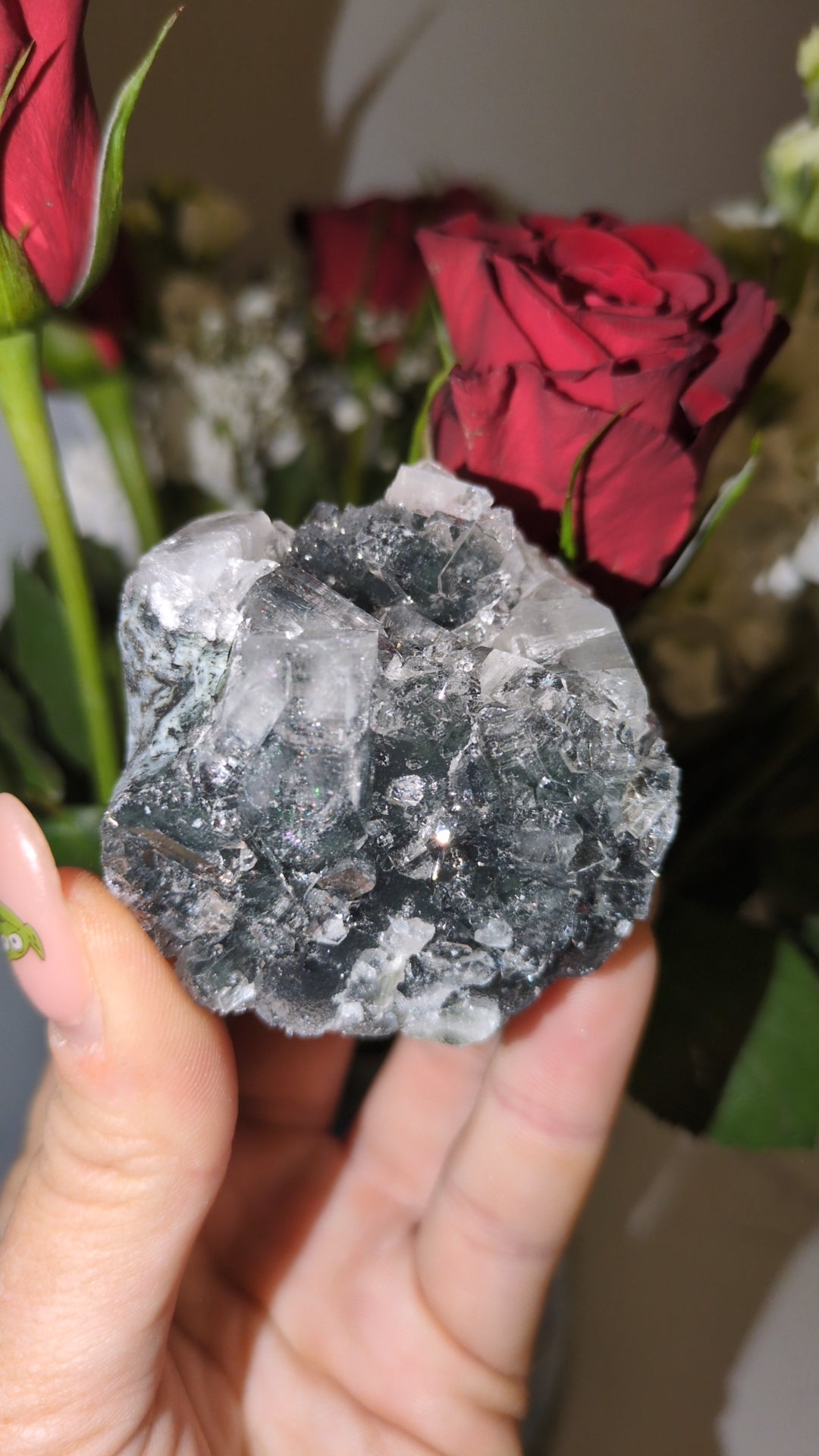 Apophyllite on Black chalcedony ✨ G