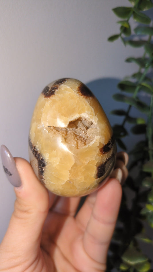 Septarian egg 🥚