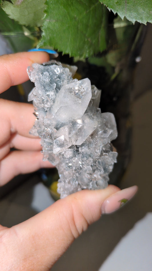 Diamond Apophyllite ✨ A