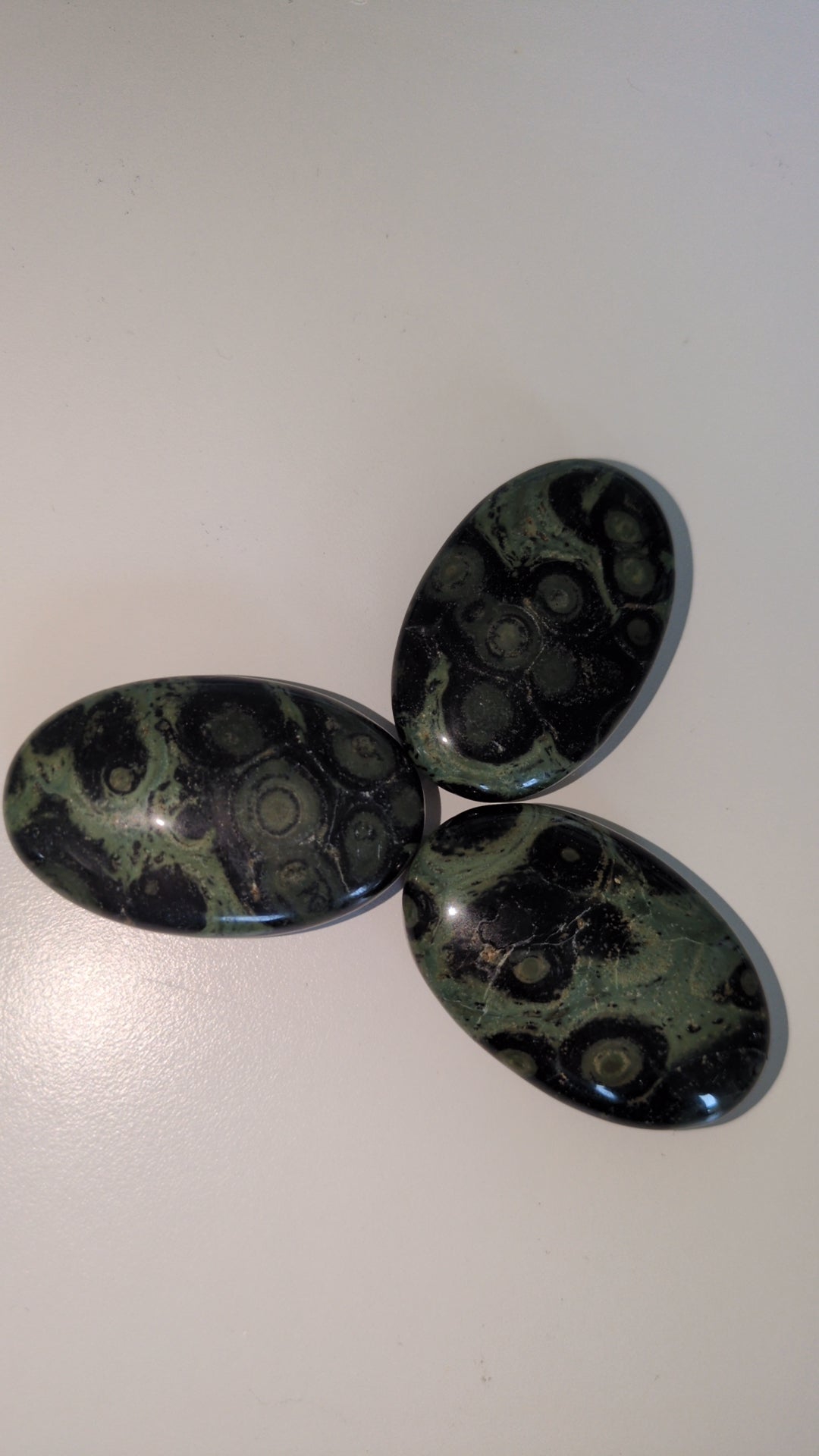 Kambaba jasper palms ✨