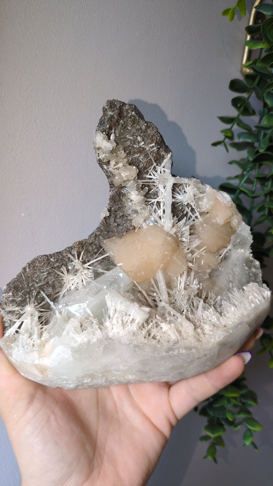 Scolecite Sprayed Apophyllite ✨ B2
