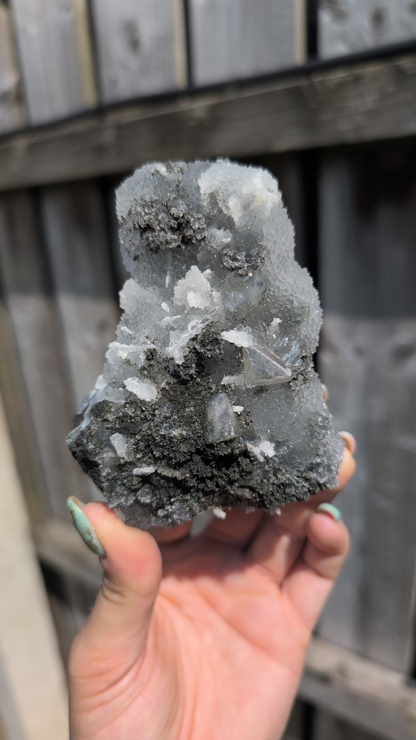 Black forest Apophyllite ✨ Z