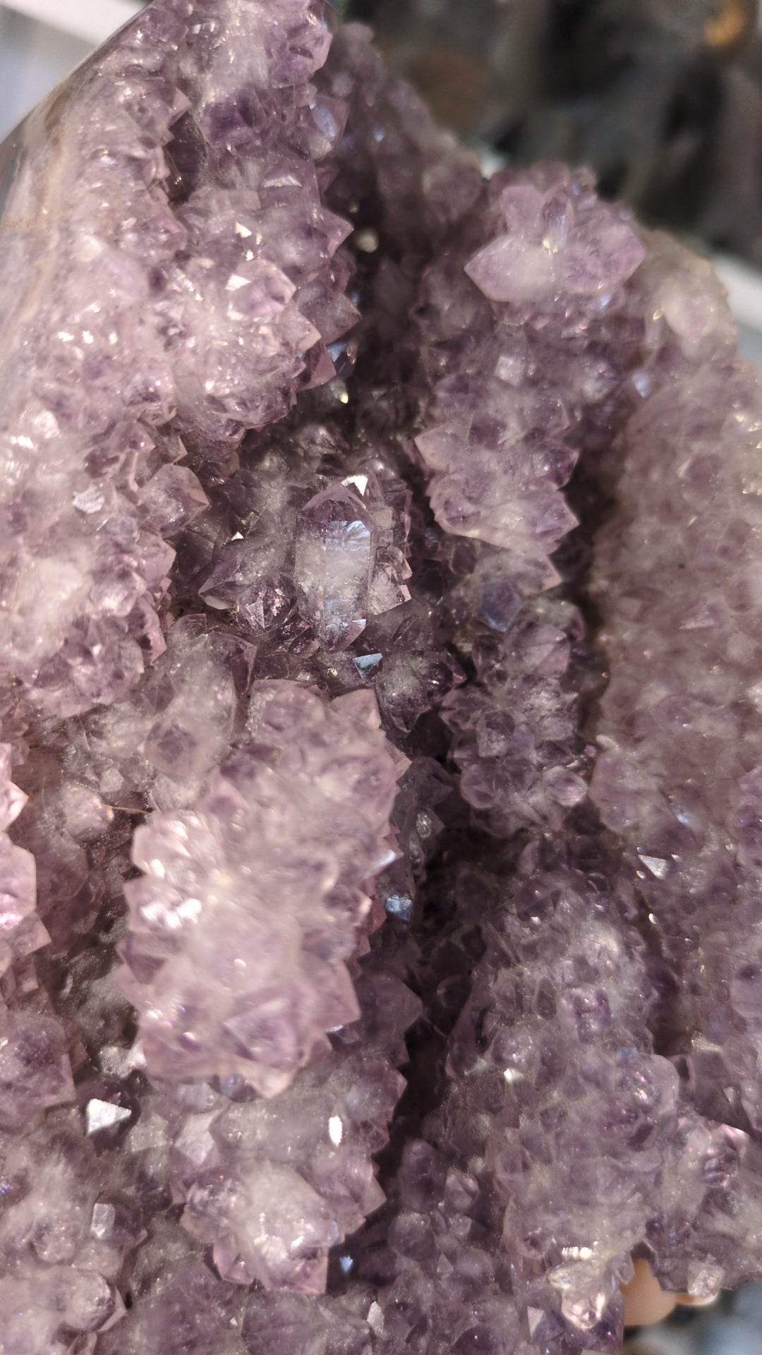 Large raw amethyst cluster ✨