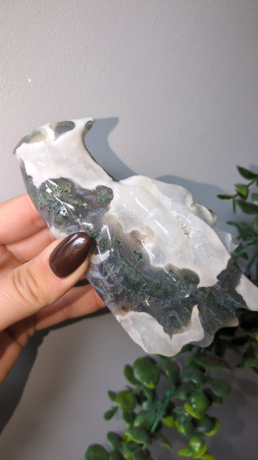 Dragon Head ✨A ✨