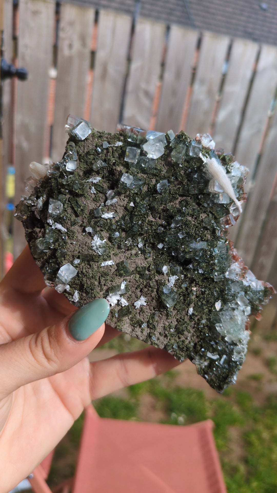 Forest Apophyllite ✨