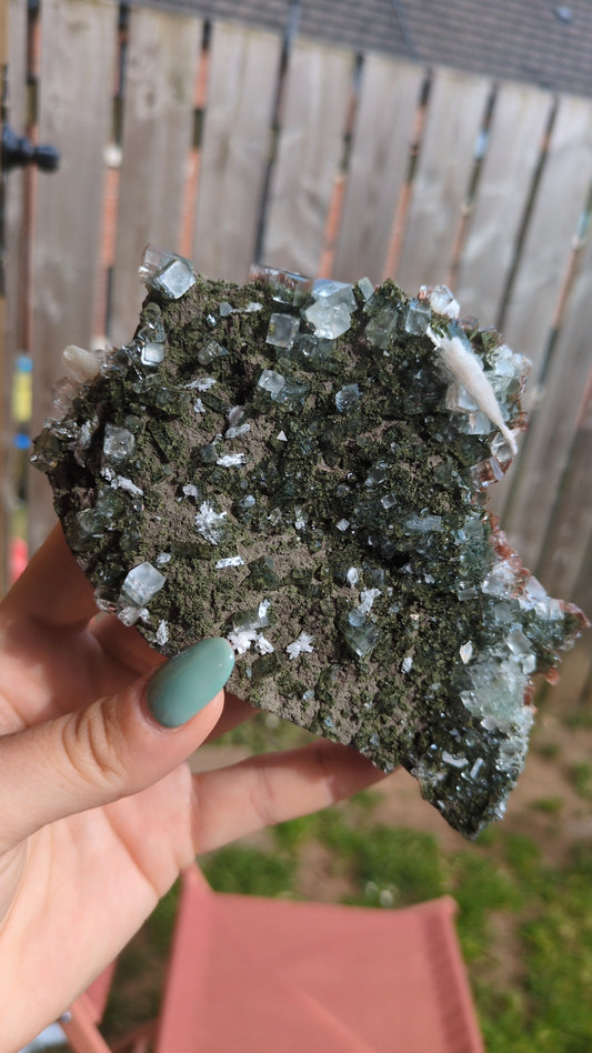 Forest Apophyllite ✨