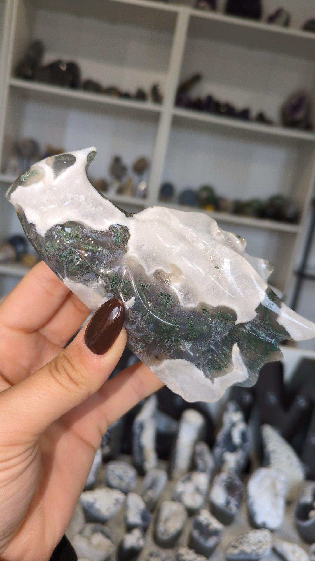 Moss dragon head A ✨