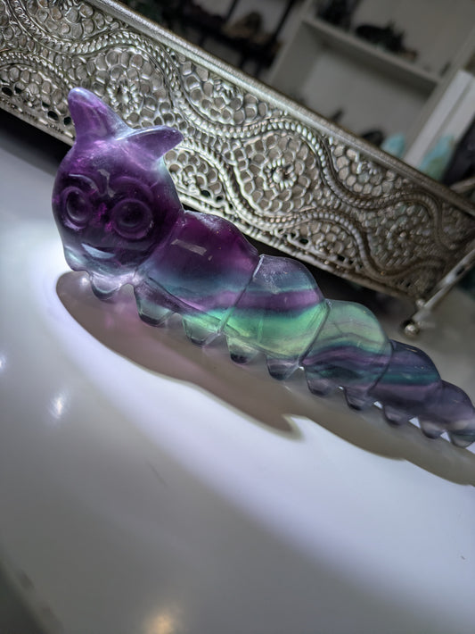 Rainbow flourite caterpillar 🐛