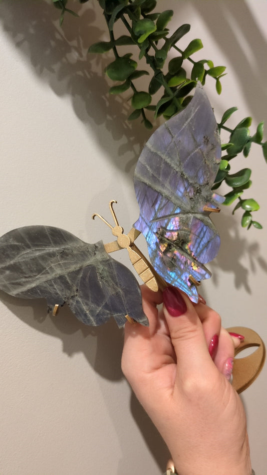 Blue& purple labradorite wings ✨