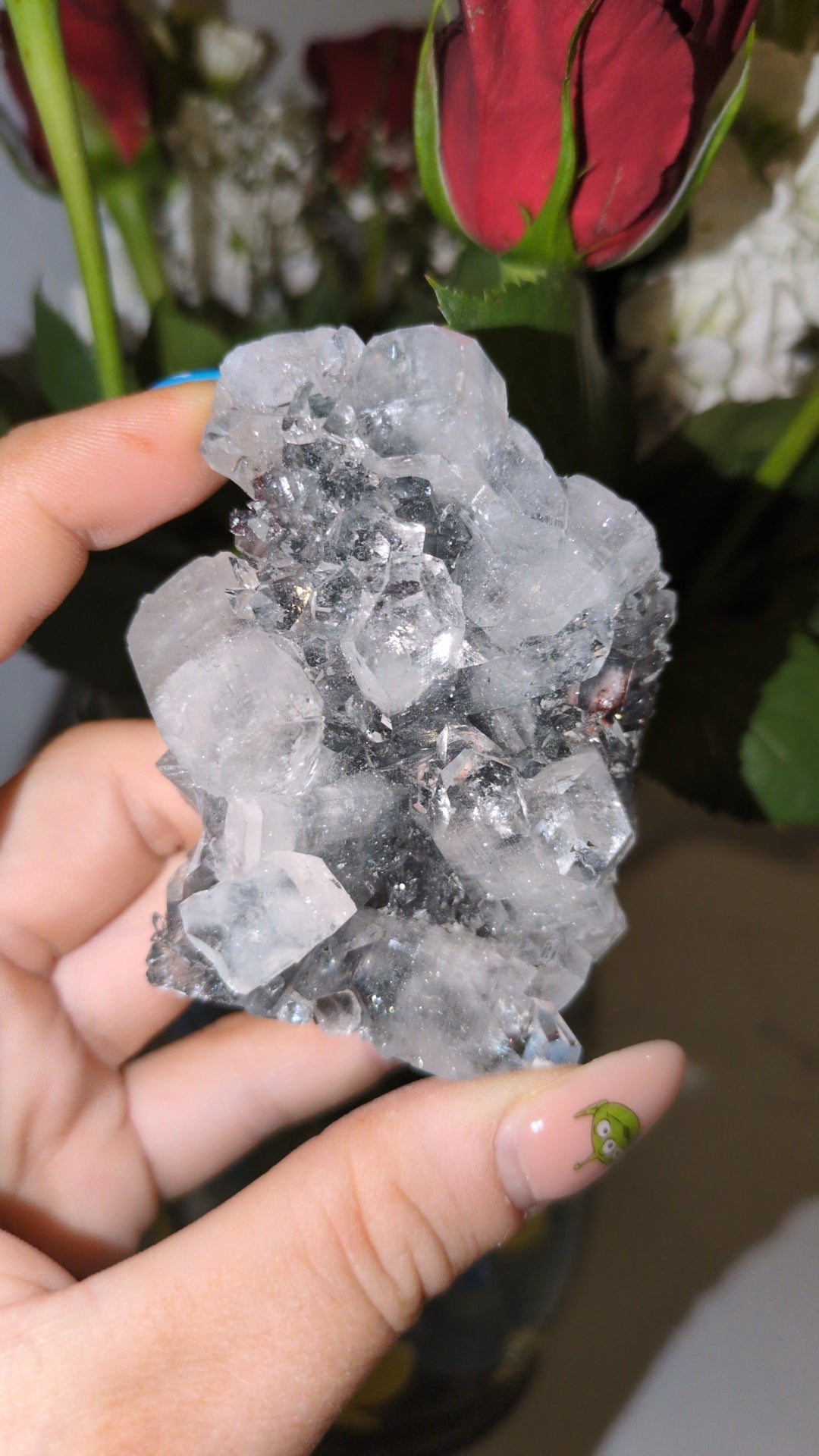 Apophyllite on Black chalcedony ✨ F