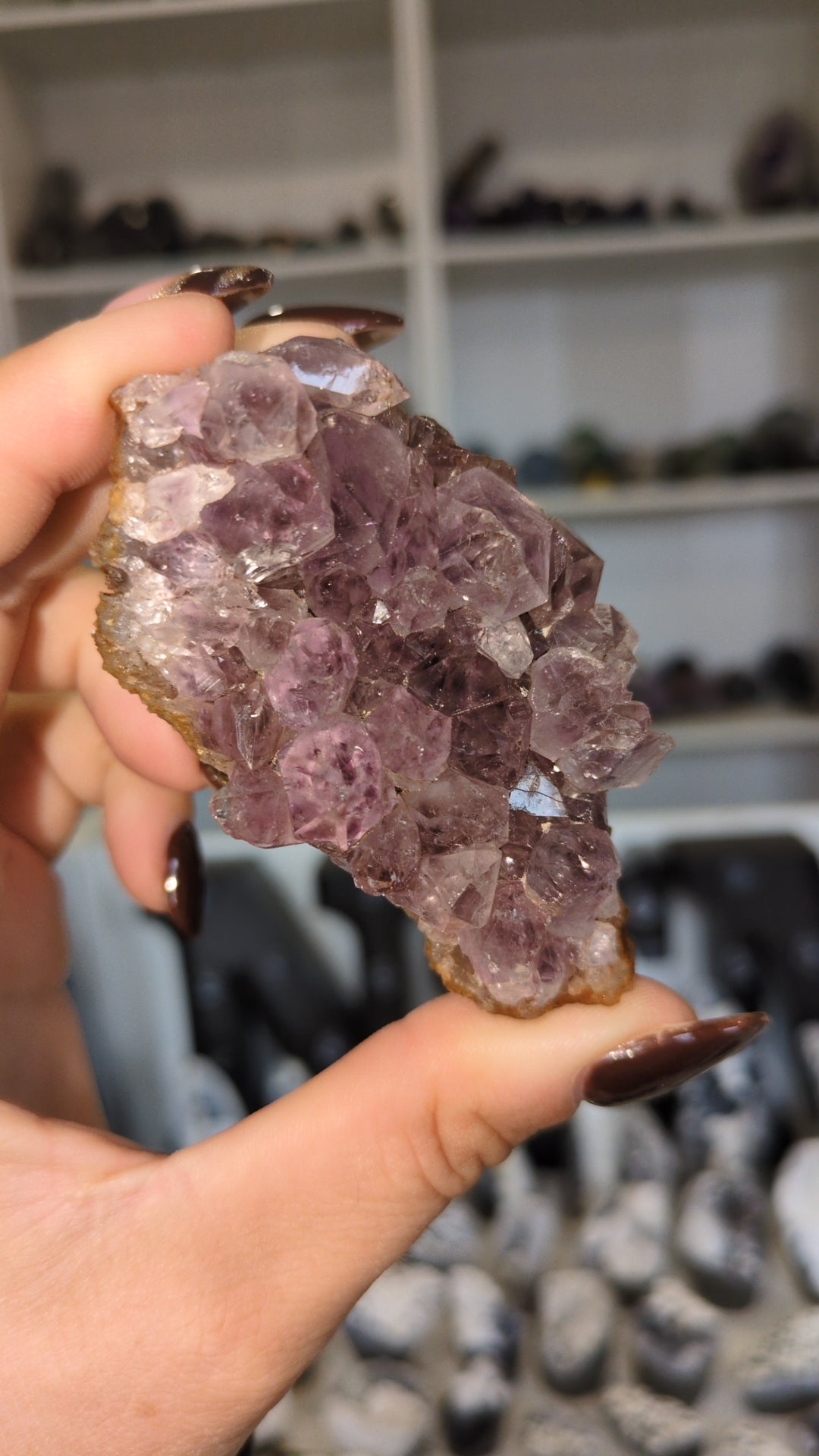 Amethyst cluster ✨