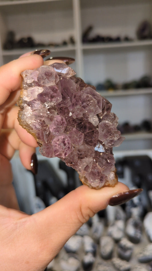 Amethyst cluster ✨
