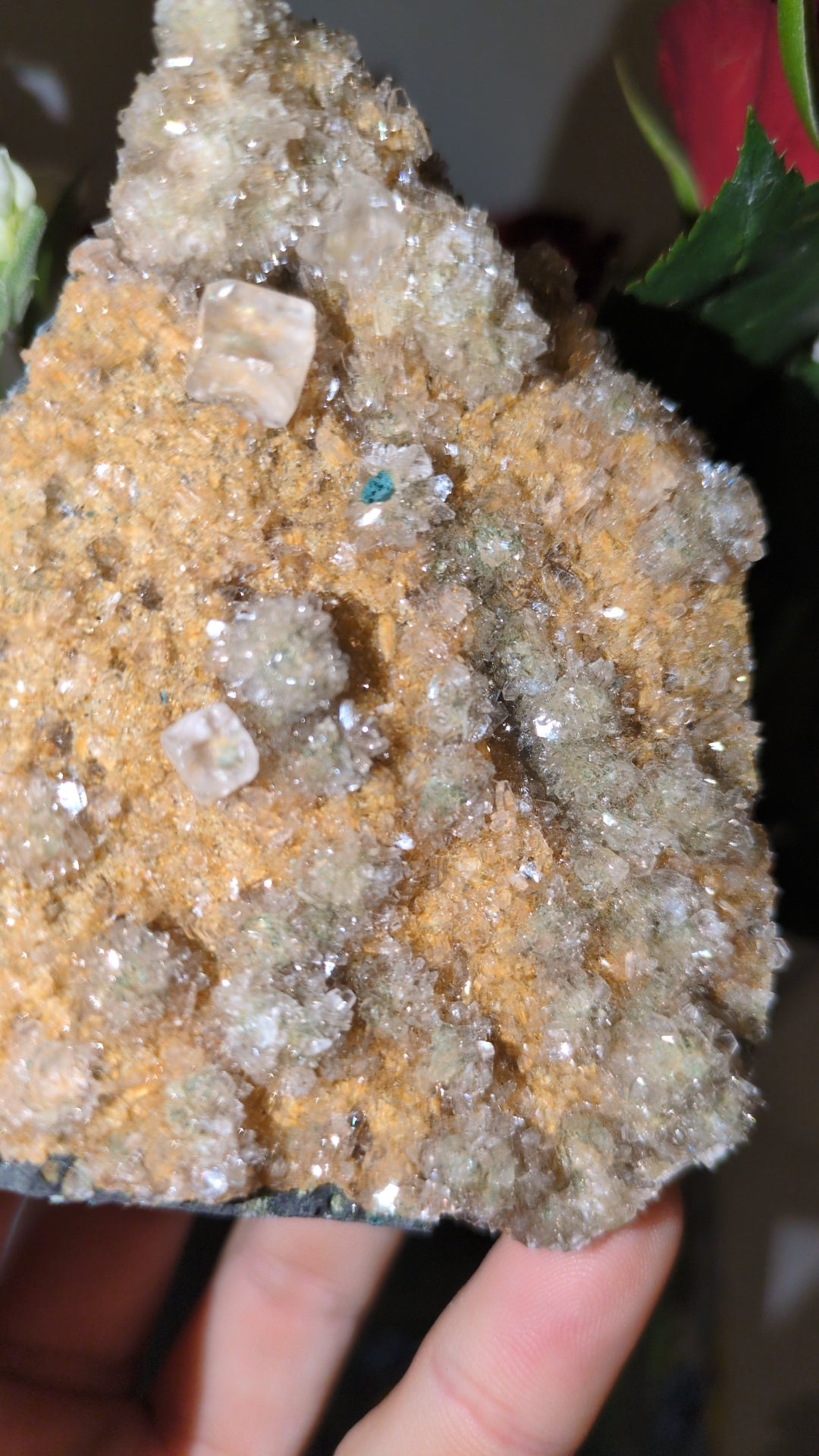Calcite specimen from India ✨ C