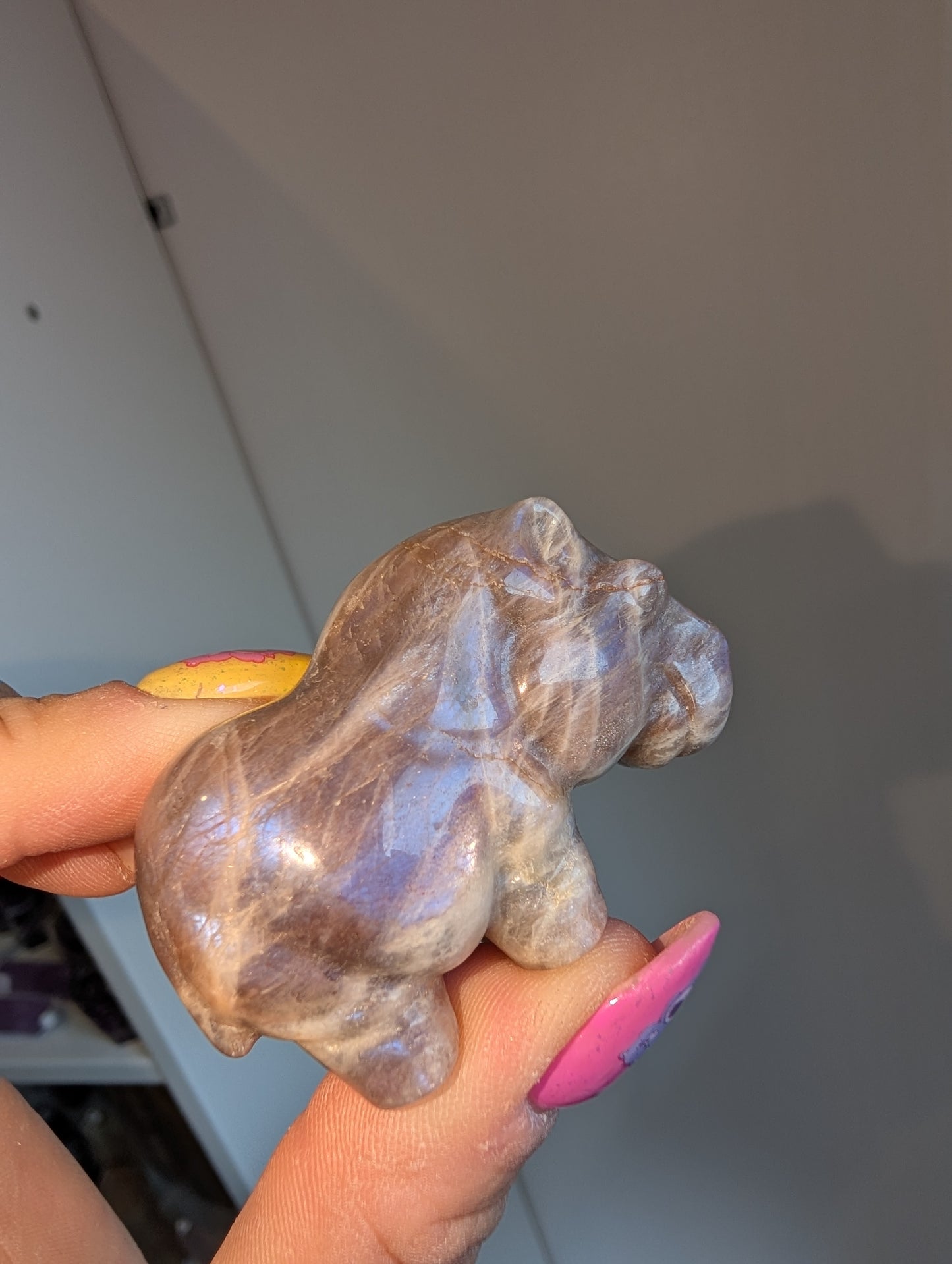 Sunstone, moonstone hippo 🦛